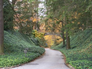 Longwood Gardens 045